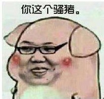 娇妹表情包