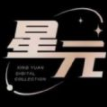 星元数字藏品平台app